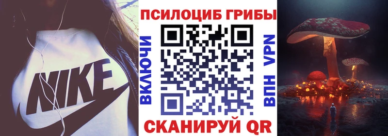 MEGA рабочий сайт  Брянск  Псилоцибиновые грибы Psilocybe  как найти закладки 